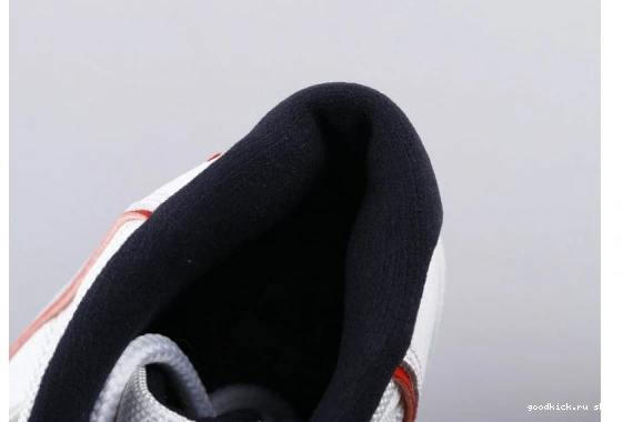 378038-016 Platinum Jordan (GS)  Retro Tint 378038-016 11 0515